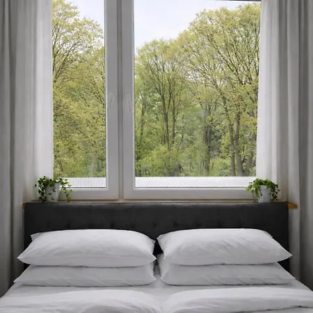 Cozy Near Hiking Trails *