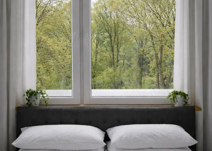 Cozy Near Hiking Trails *